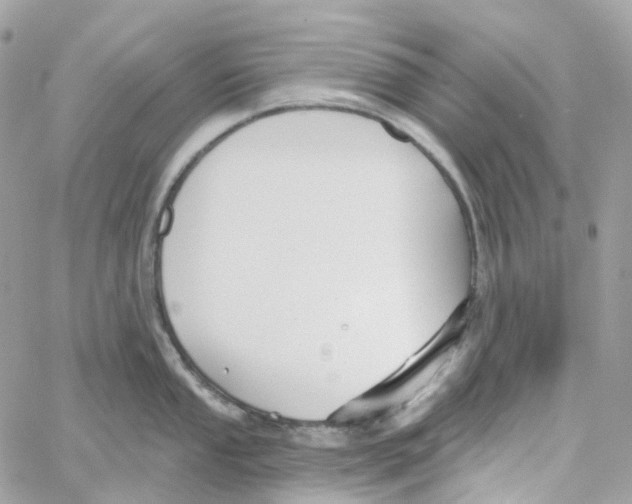 X0000059041053200511041631