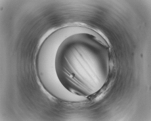 X0000059041054200511041631