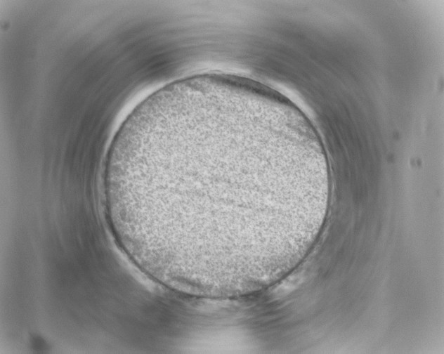 X0000059041056200511041631