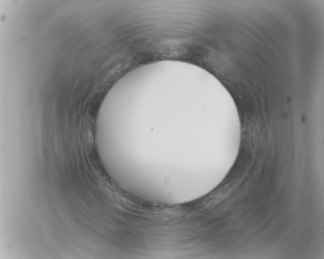 X0000059041058200511041631