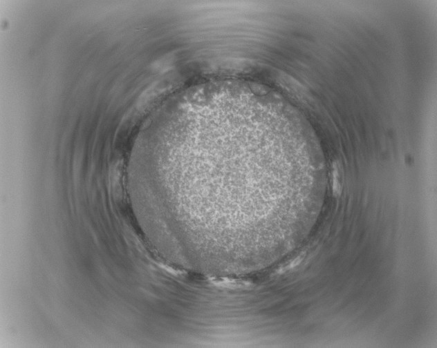 X0000059041059200511041631