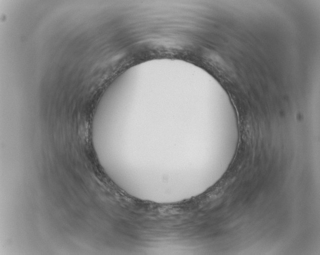 X0000059041061200511041631