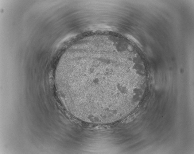 X0000059041063200511041631