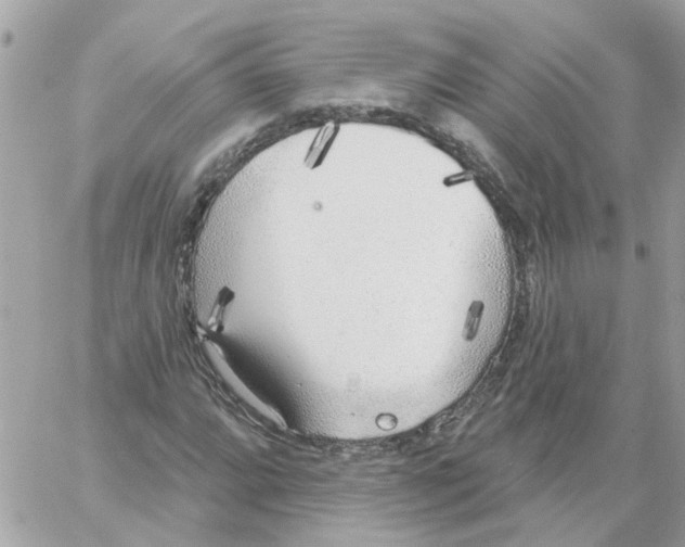 X0000059041064200511041631