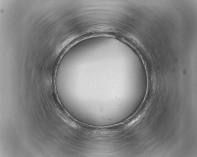 X0000059041065200511041631