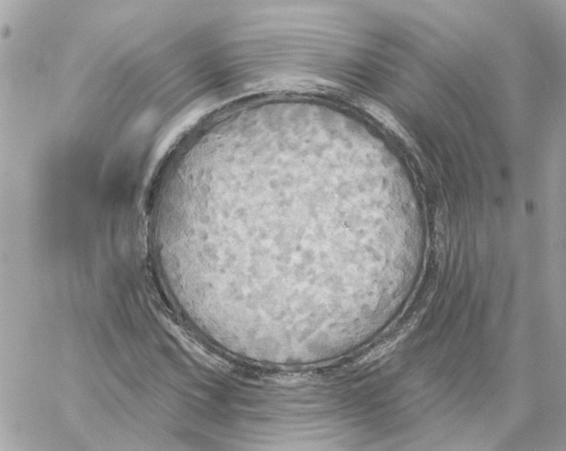 X0000059041067200511041630