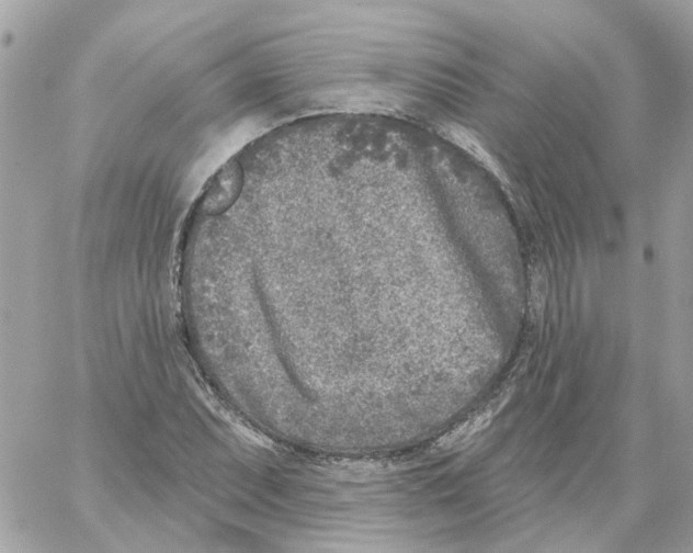 X0000059041071200511041630