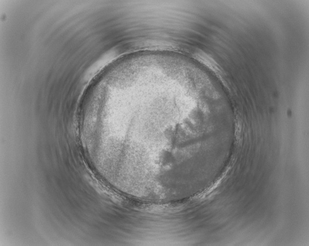 X0000059041074200511041630