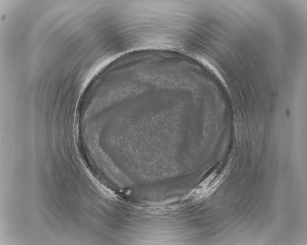 X0000059041077200511041630