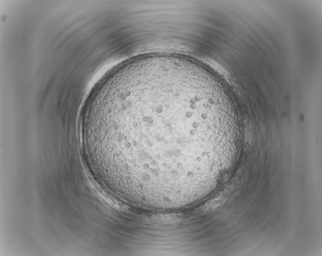 X0000059041078200511041630