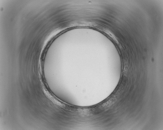 X0000059041080200511041630