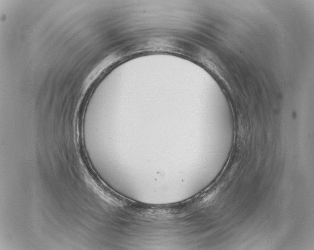 X0000059041082200511041630