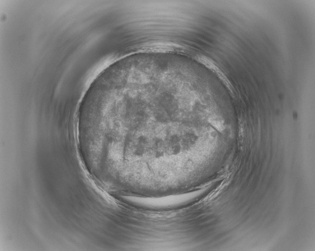 X0000059041083200511041630