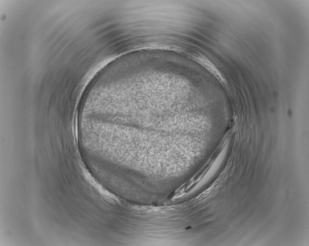 X0000059041084200511041630