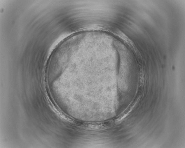 X0000059041086200511041630