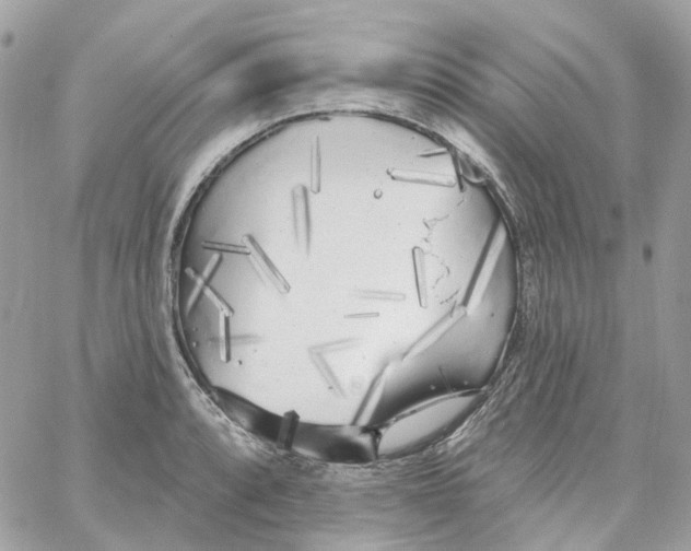 X0000059041088200511041630