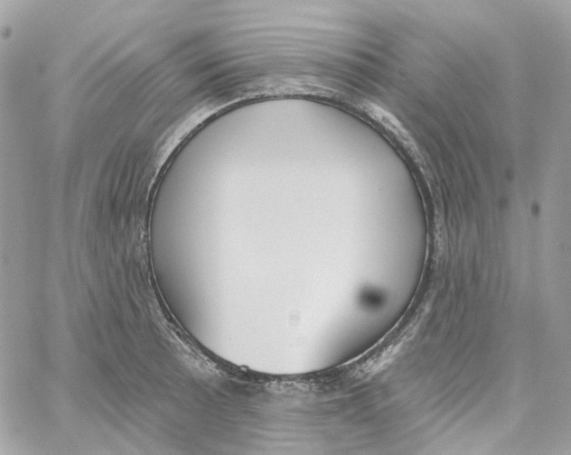 X0000059041089200511041630