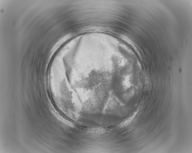 X0000059041090200511041630