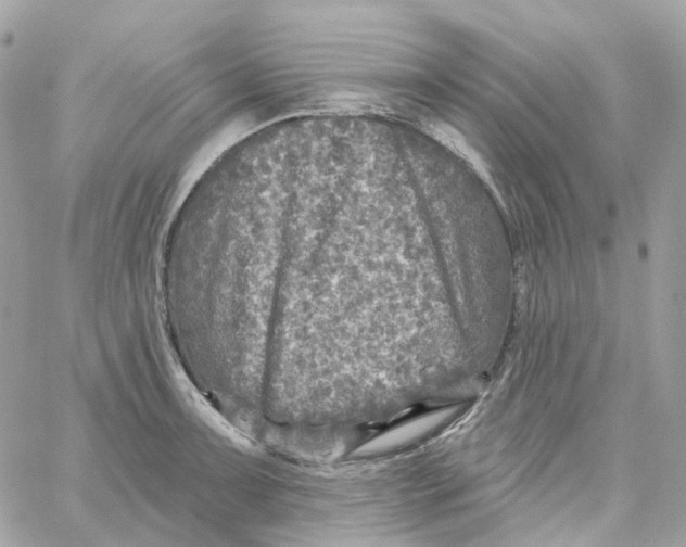 X0000059041091200511041630