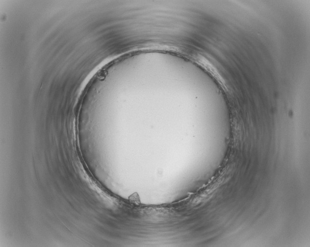 X0000059041092200511041630