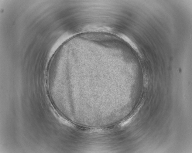 X0000059041094200511041630