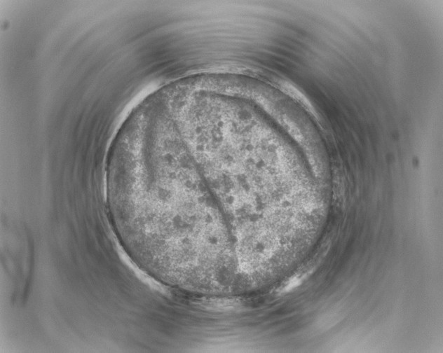 X0000059041095200511041630