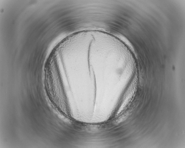 X0000059041096200511041630