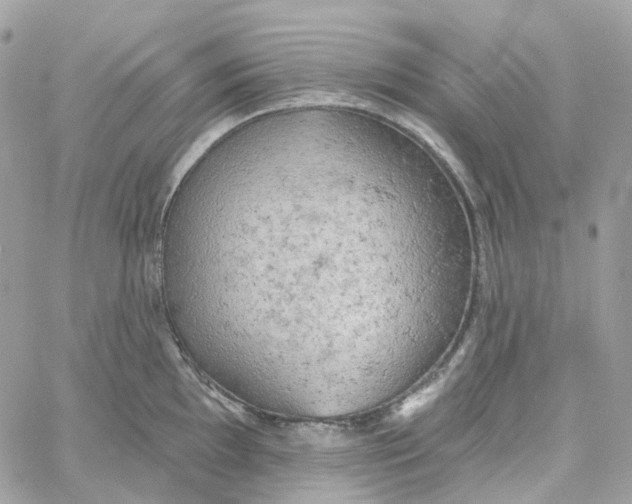 X0000059041097200511041630