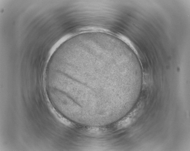 X0000059041098200511041630