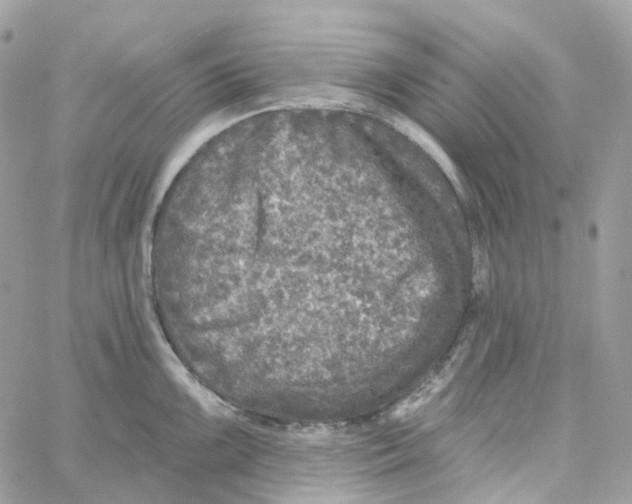 X0000059041099200511041630