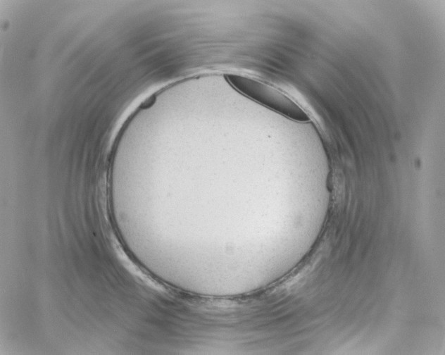 X0000059041100200511041630