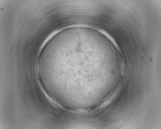 X0000059041101200511041630