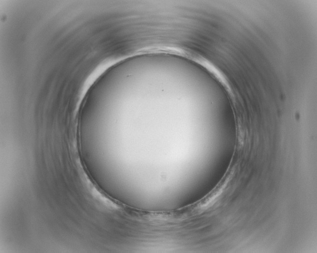 X0000059041102200511041630