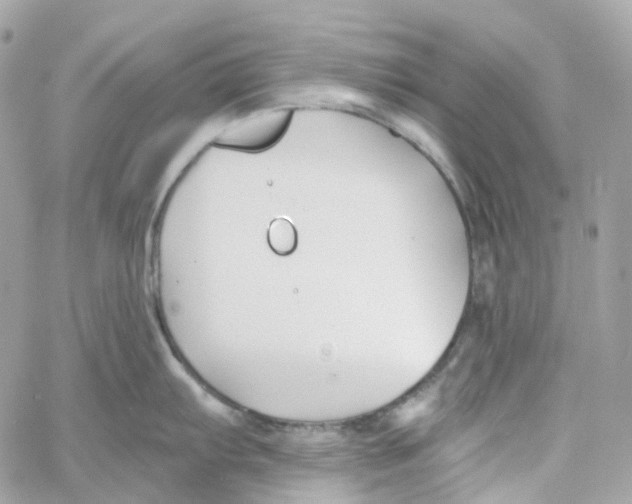 X0000059041103200511041630