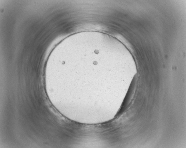 X0000059041104200511041630