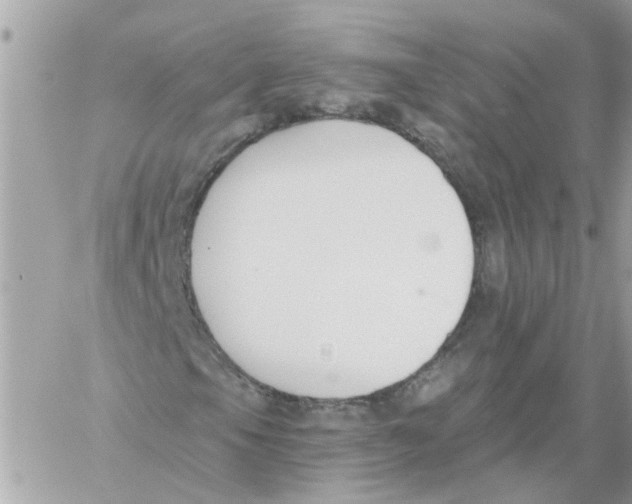 X0000059041105200511041629