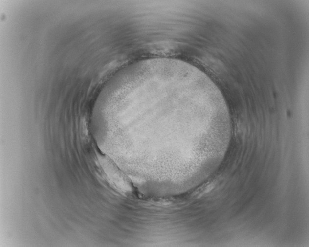 X0000059041106200511041629