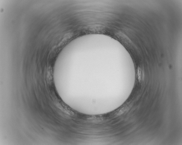 X0000059041107200511041629