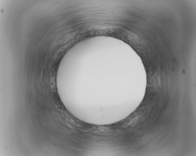 X0000059041109200511041629