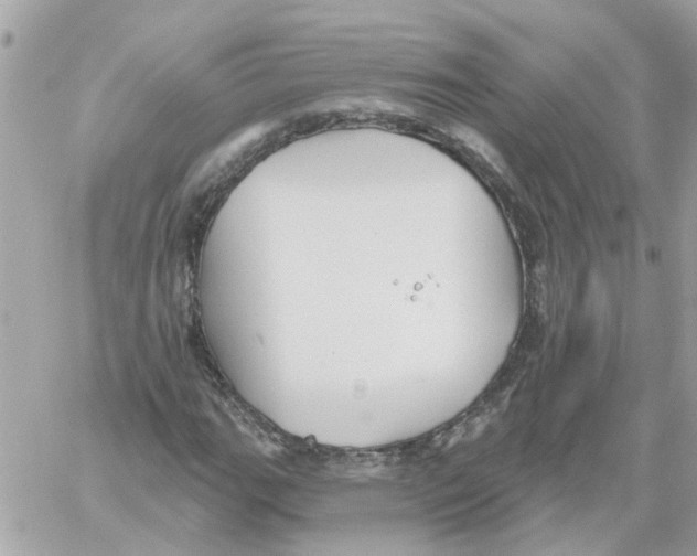 X0000059041111200511041629