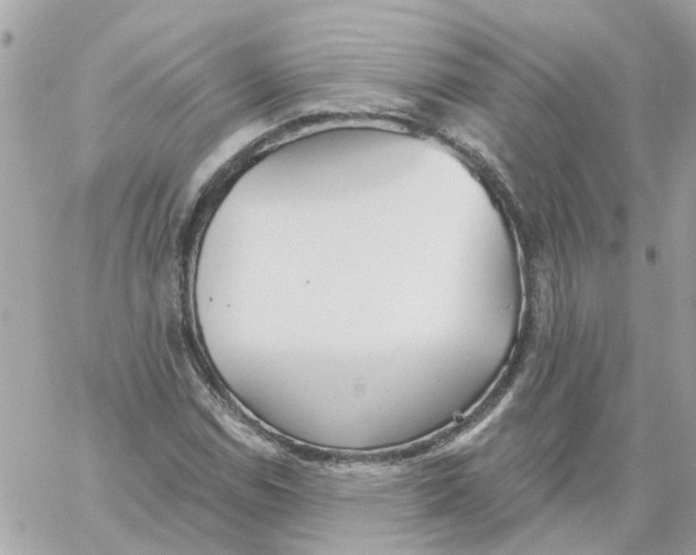 X0000059041114200511041629