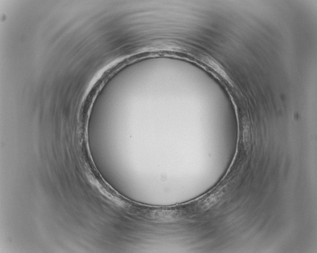 X0000059041116200511041629