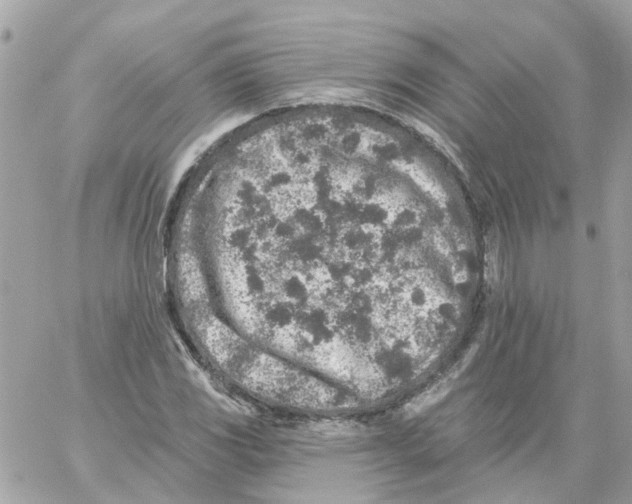 X0000059041117200511041629