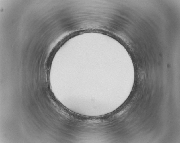 X0000059041118200511041629