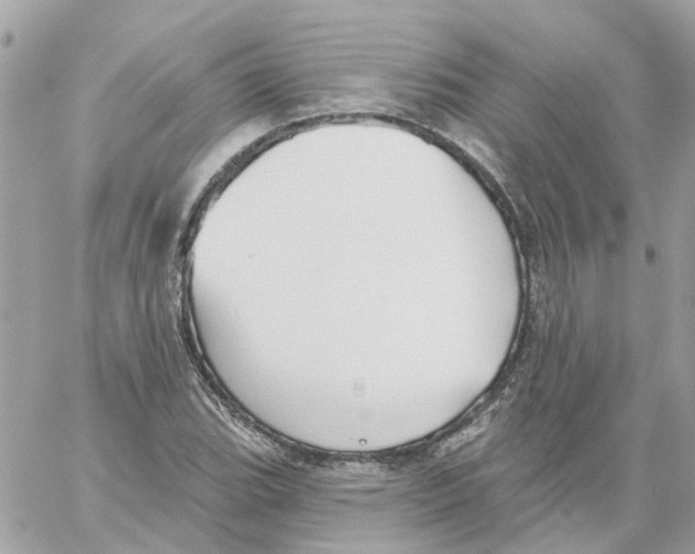 X0000059041119200511041629