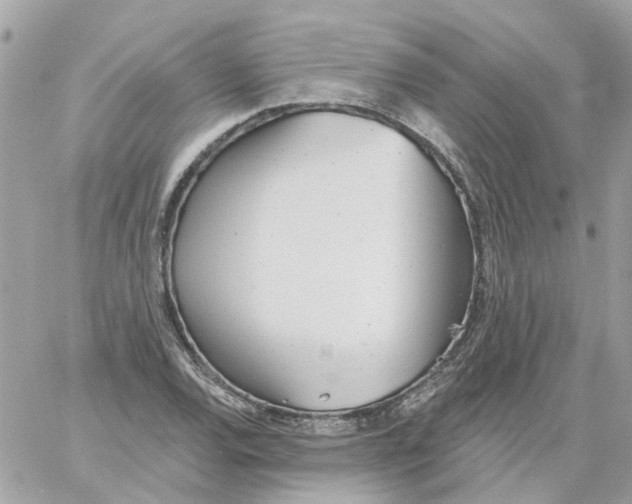 X0000059041120200511041629