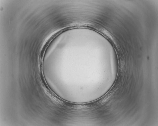 X0000059041124200511041629