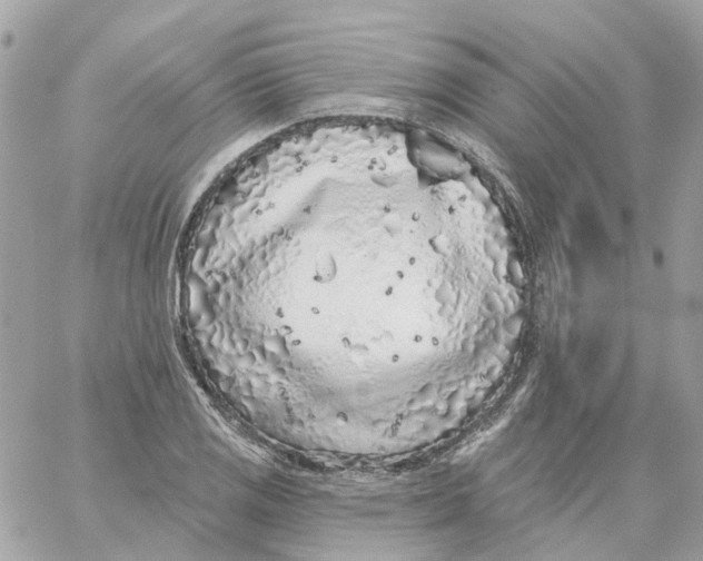 X0000059041125200511041629