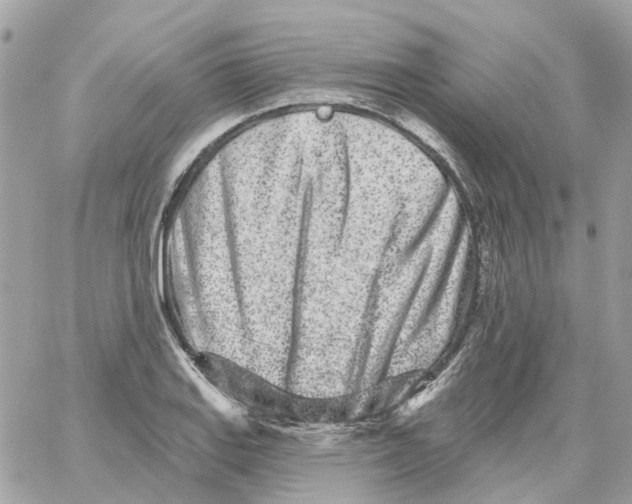 X0000059041127200511041629