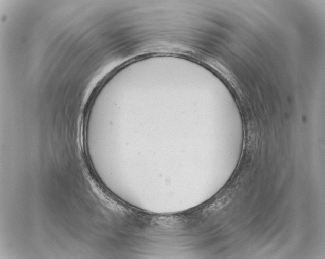 X0000059041128200511041629